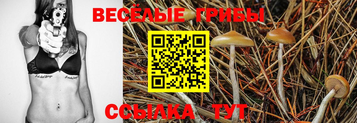Псилоцибиновые грибы Cubensis Топки